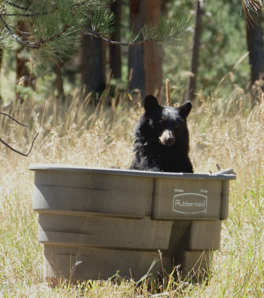 お風呂で代謝を上げるための効果的な入浴法とは？