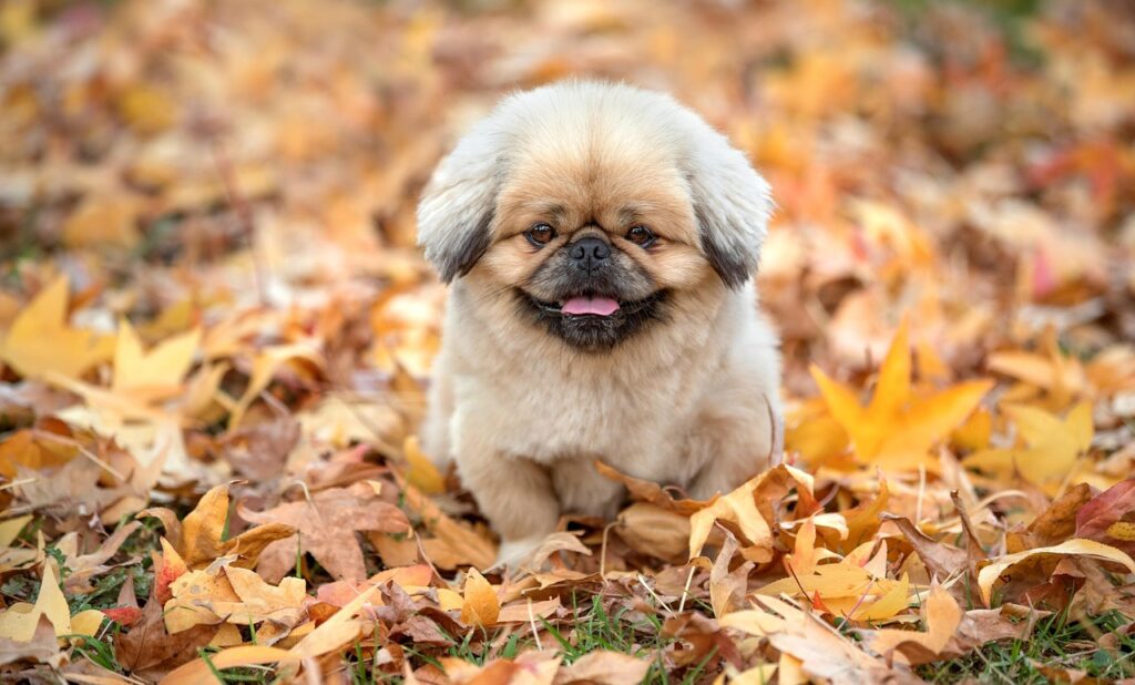 半身浴が美肌に与える効果とは？