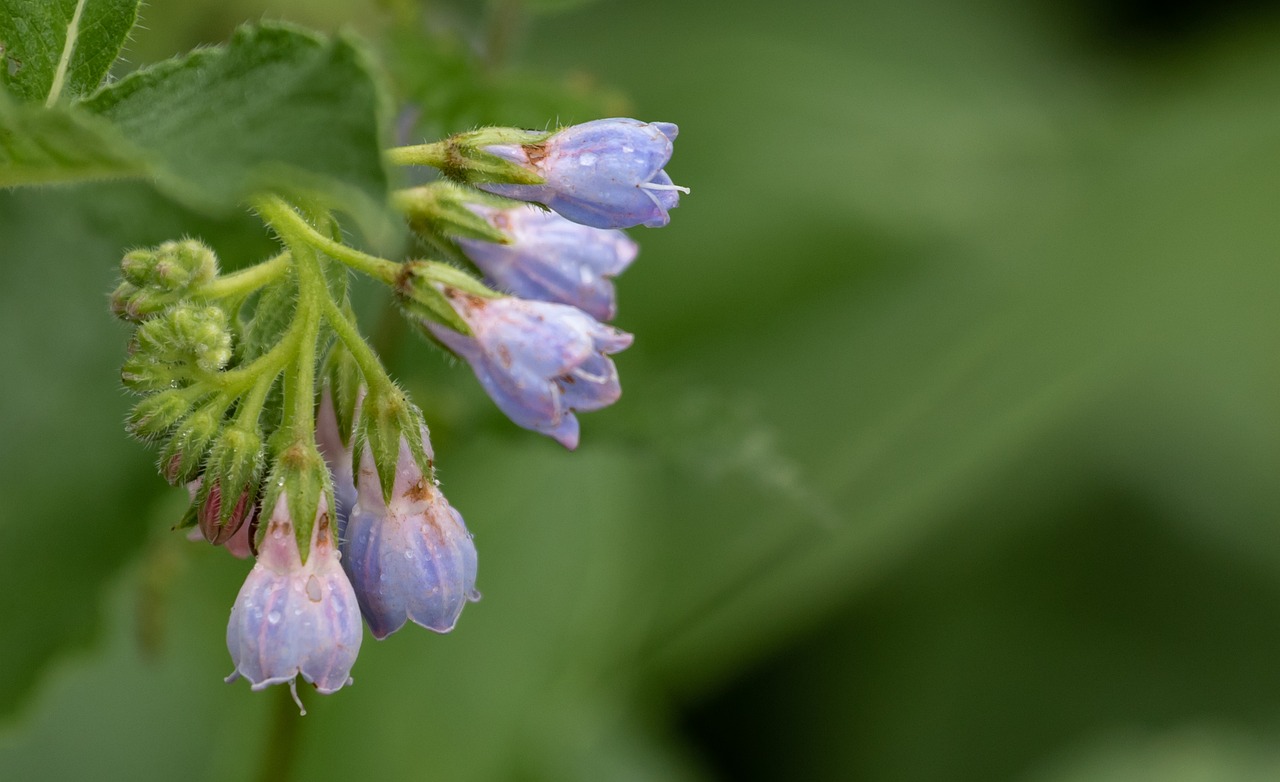 入浴中の背中ニキビの原因と効果的な対策は？
