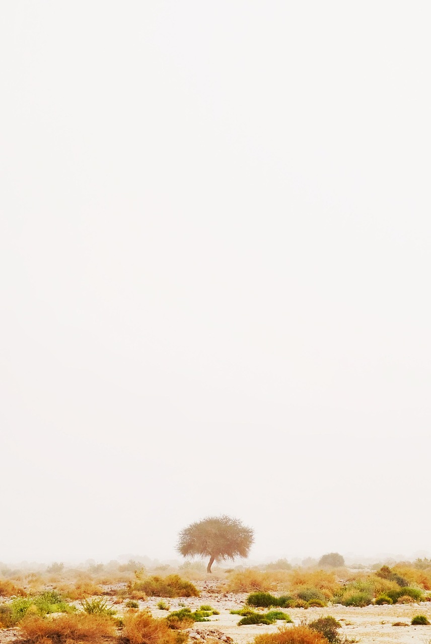 入浴中にできる5分の美容習慣は一人暮らしにどう役立つ？