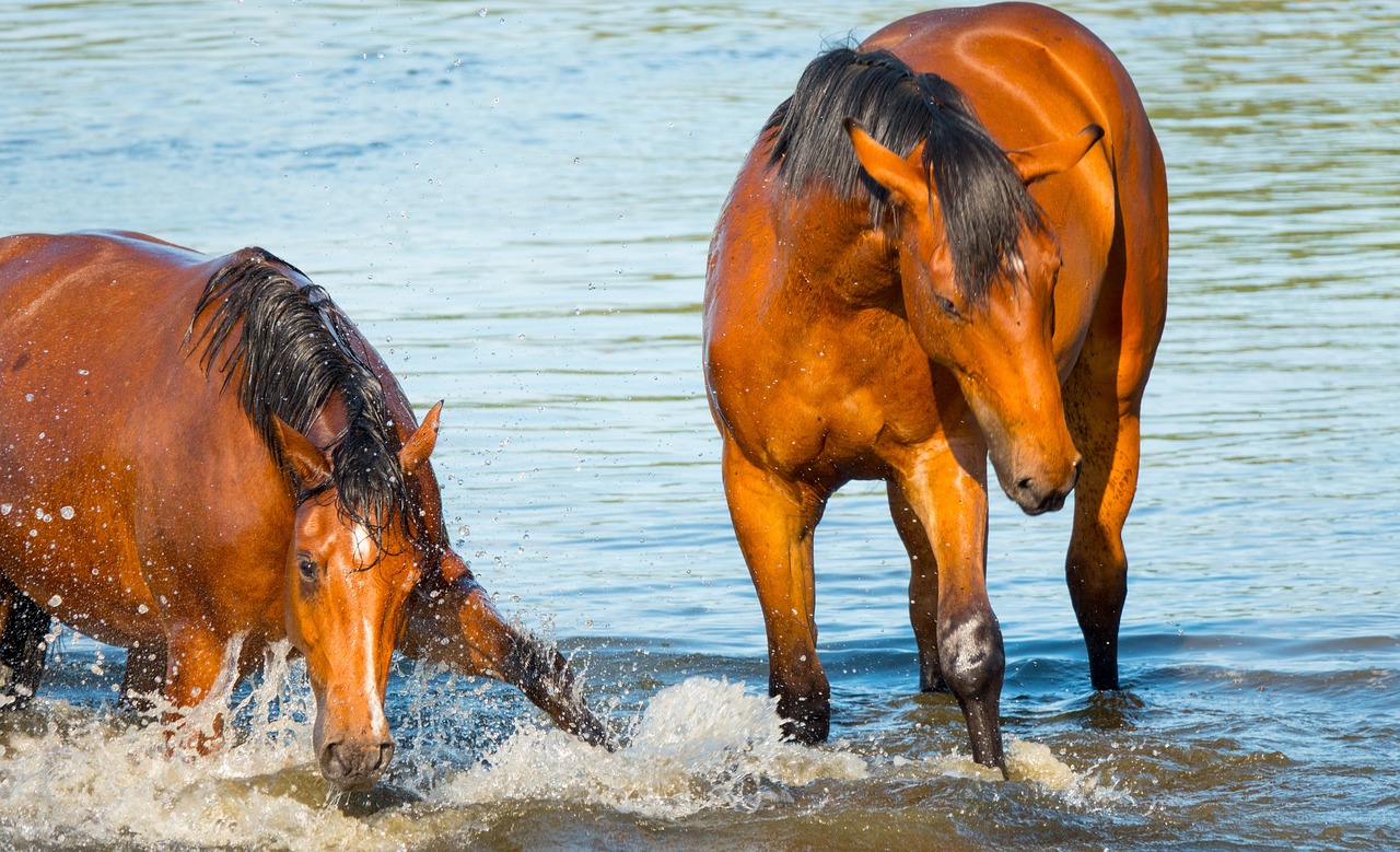 入浴中の半身浴における時間の目安は？