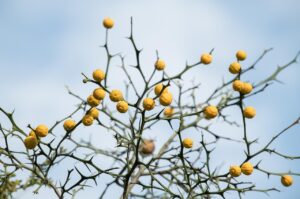 お風呂での目元の乾燥としわ予防にはどんな方法がある？