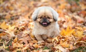 湯船の水位はどこまでが安全なのか？