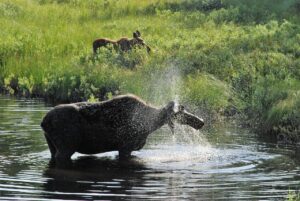 入浴後のうっかり保湿忘れをリカバリーする方法は？