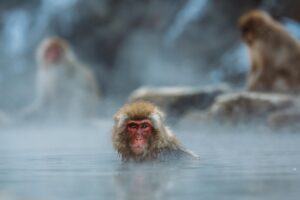 入浴美容で失敗して落ち込む時の対処法は？